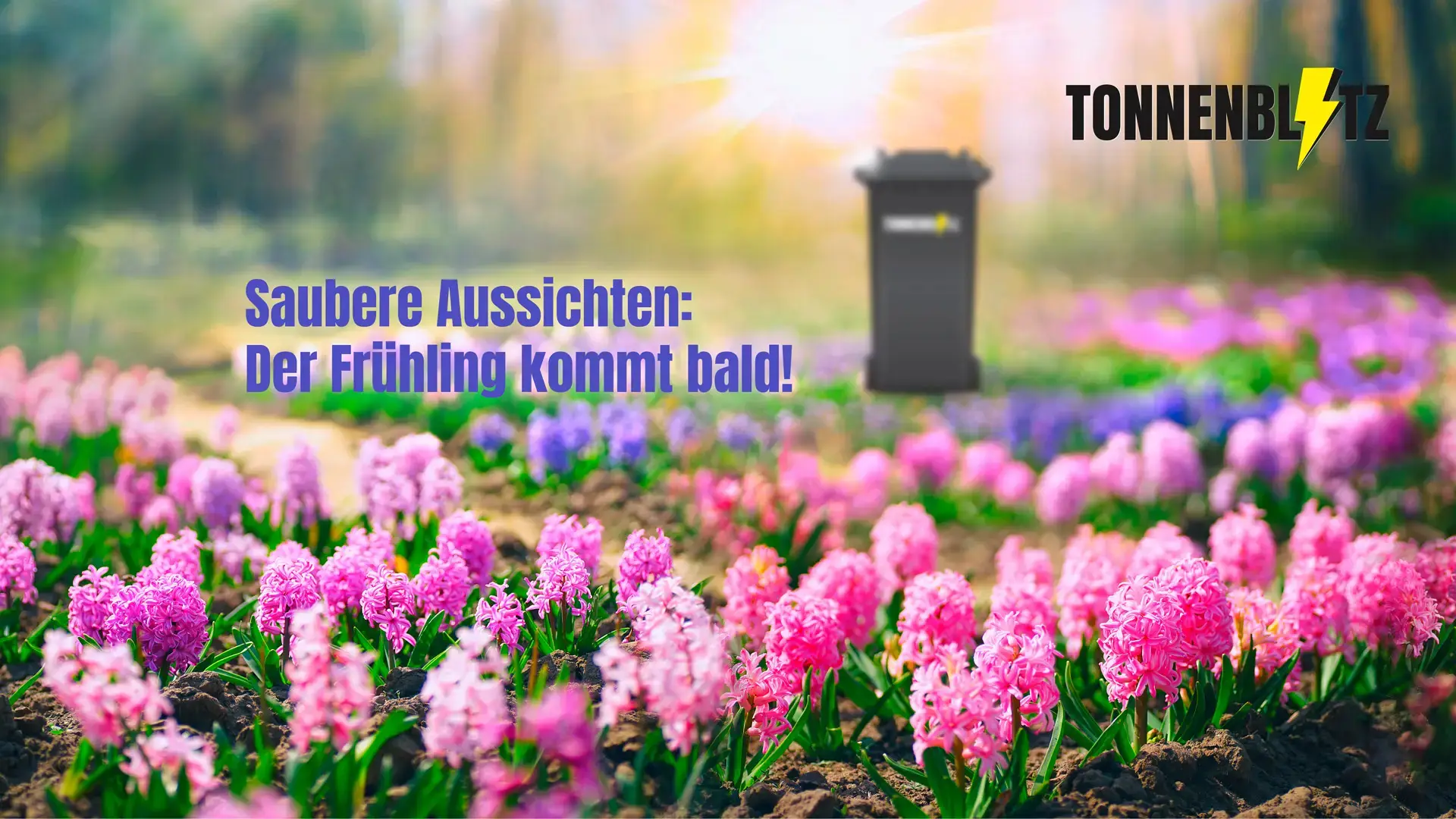 Frühlingswiese mit vielen bunten Hyazinthen, im Hintergrund eine Tonnenblitz-Mülltonne vor weichem Sonnenlicht.