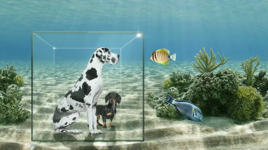 Zwei Hunde sitzen in einem Glaskubus unter Wasser und beobachten die Unterwasserwelt. Sie sind sicher und geborgen