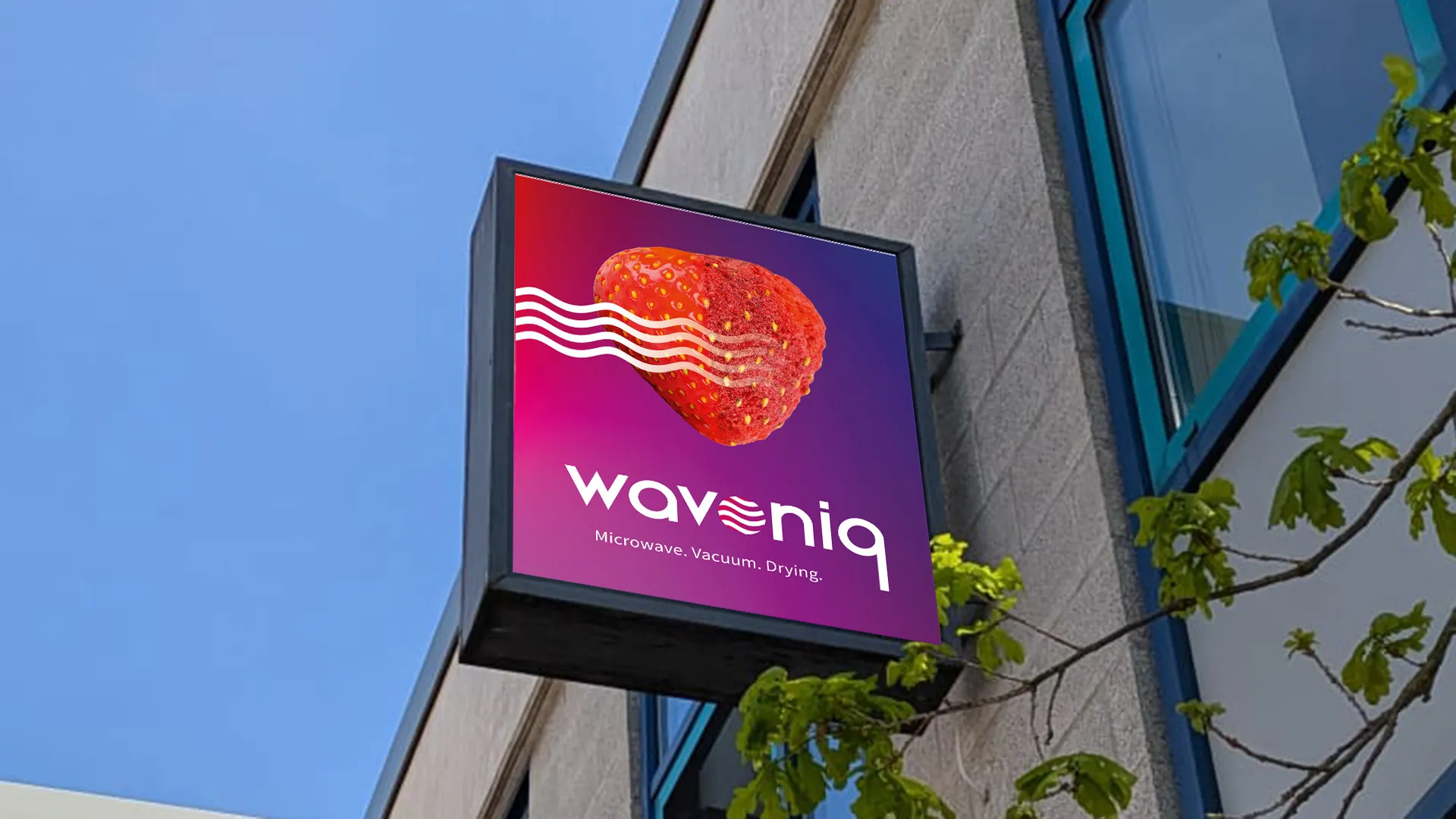 Darstellung des Außenauftritts von wavoniq als Teil der visuellen Markenkommunikation und Markenpräsenz.