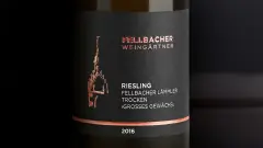 WG-Hauoptmotiv-Riesling-P-Flaschen-1920-blow