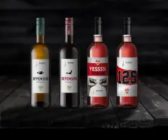 Fellbacher-Weingaerner-VfB-Stuttgart-Etikett-Entwicklung-Design-Konzept