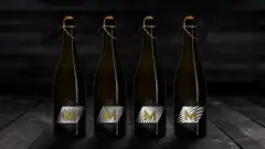 Fellbacher-Weingaerner-Muskat-Linie-Entwicklung-Design-Konzept