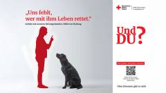 Rettungshundestaffel Ehrenamt – DRK Ludwigsburg