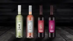 Fellbacher-Asparagus-Evento-Linie-Entwicklung-Design-Konzept