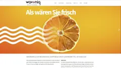 Kernkompetenz wavoniq – Mikrowellentrocknung empfindlicher Lebensmittel im Vakuum